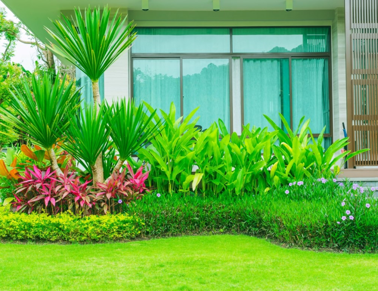 Modern house window with lush tropical garden