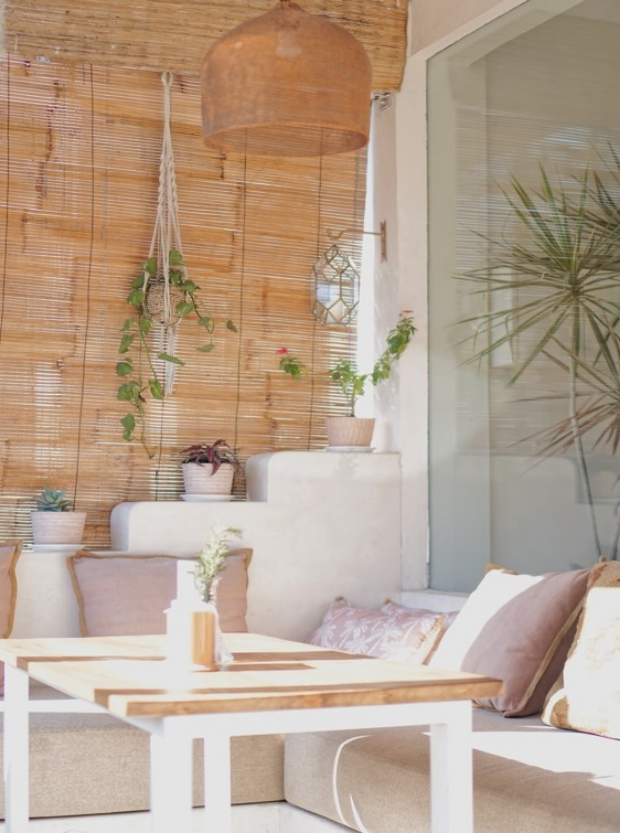 Sunlit cozy patio with plants and cushions