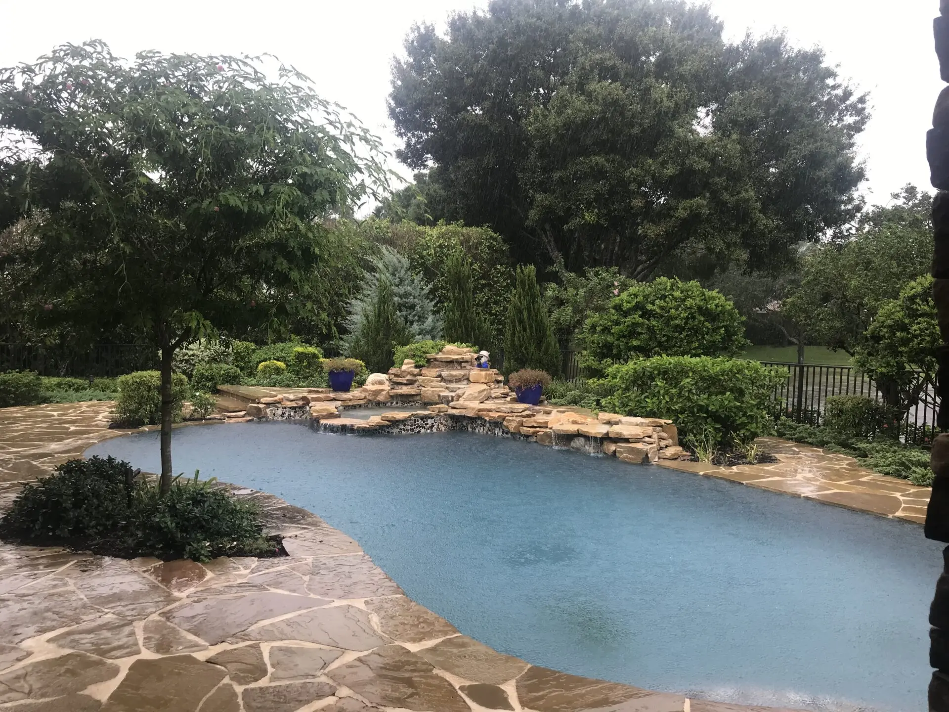Backyard pool with rock waterfall and trees