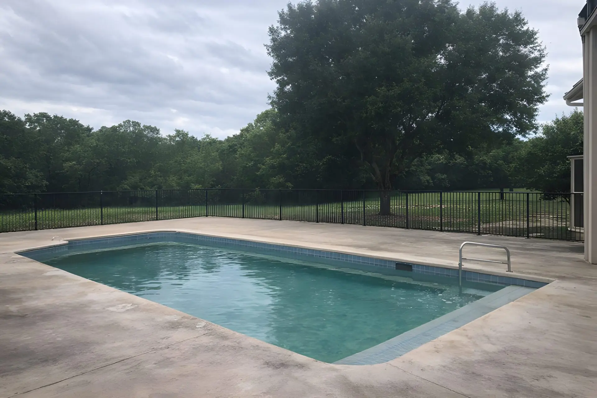 Backyard pool with trees under overcast sky